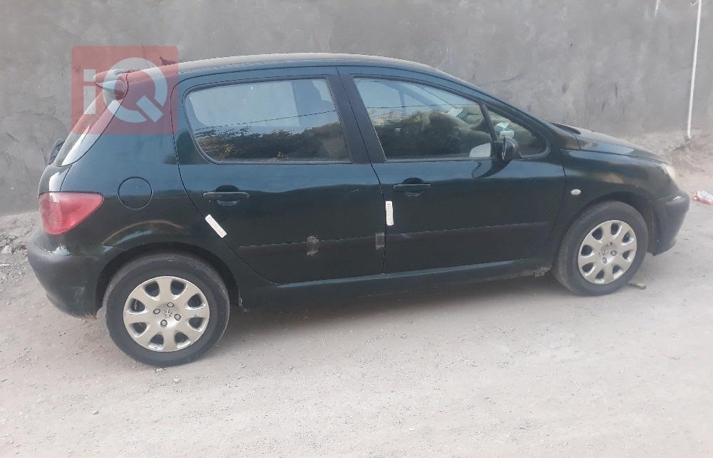 بیجۆ 307